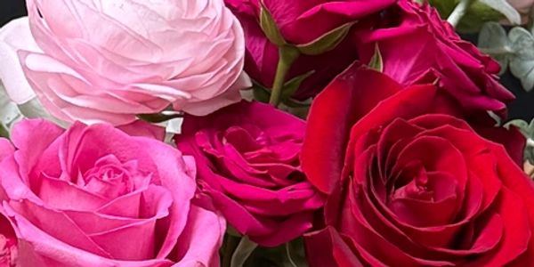 Pink roses and red roses for delivery from Love N' Bloom 