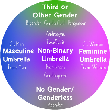 Circle showing different genders from masculine trans to feminine trans woman third gender agender