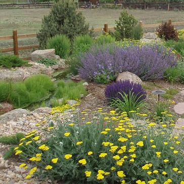 xeriscape landscape design planted with native plants