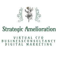 Strategic Amelioration
Virtual CFO & Business Consultation