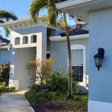 blue house with palm trees