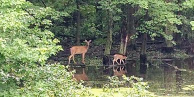 Hiking at Christian Campground