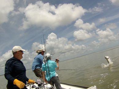 Jumping Key Largo Tarpon