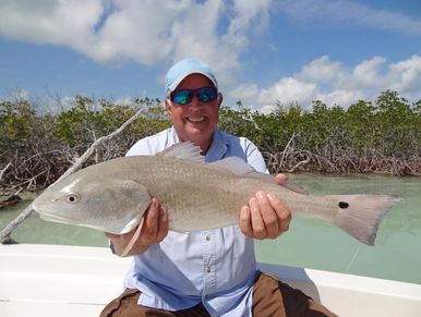 Key Largo fishing charter Redfish