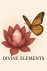Divine Elements