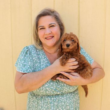 Cavapoo breeder