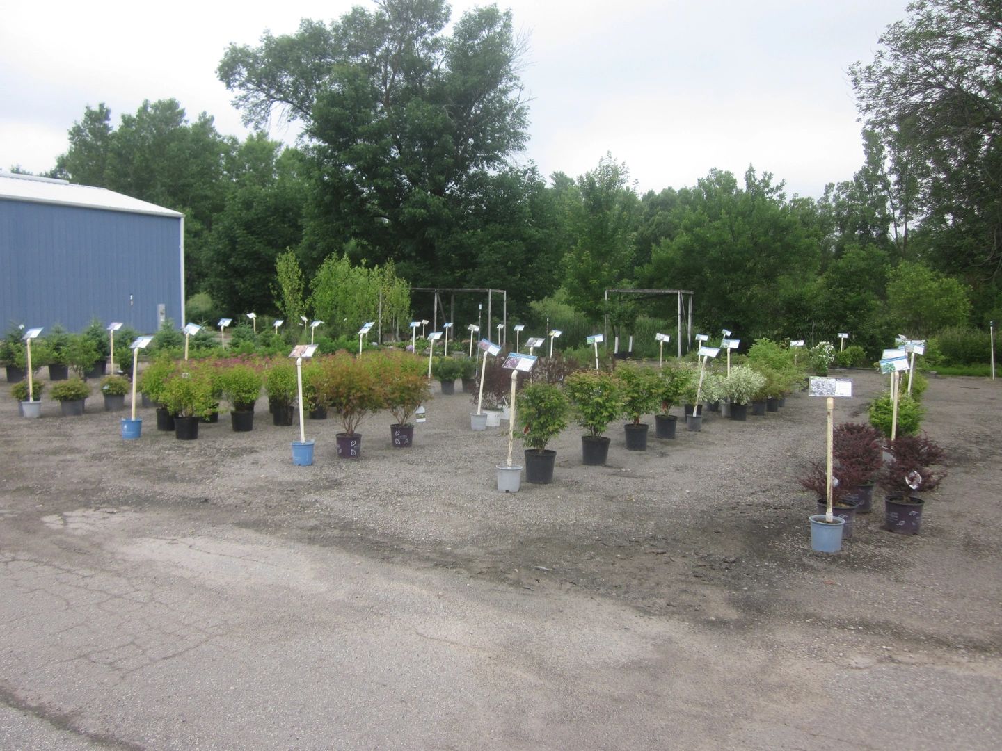Marty's Blue Sky Nursery