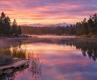 Misty dawn over mirror-still Woodland Lake, tall pines reflected in the water, ideal for “mountain l