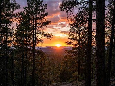 Mirror-calm pond and towering pines at daybreak in Heber-Overgaard, perfect visual for “Flat Fee MLS