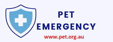 Critical Care Animal Ambulance Services