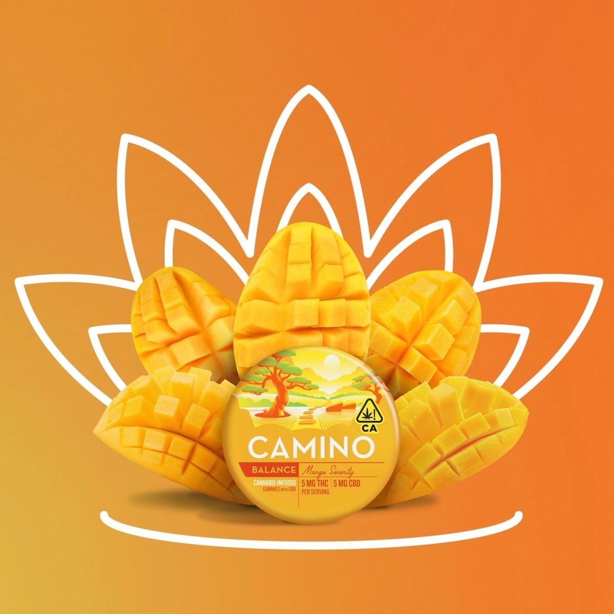  `CAMINO MANGO SERENITY (BALANCE) 100 MG THC + 100 MG CBD CANNABIS INFUSED GUMMIES