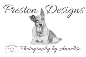 Preston Designs website