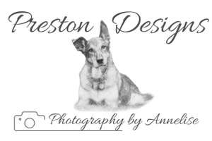 Preston Designs website