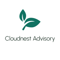 cloudnestadvisory.com