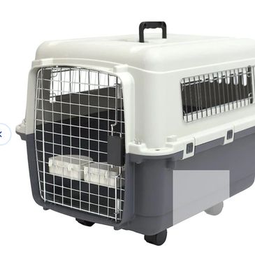 Sturdy pet carrier with wire door and ventilation for safe transport.