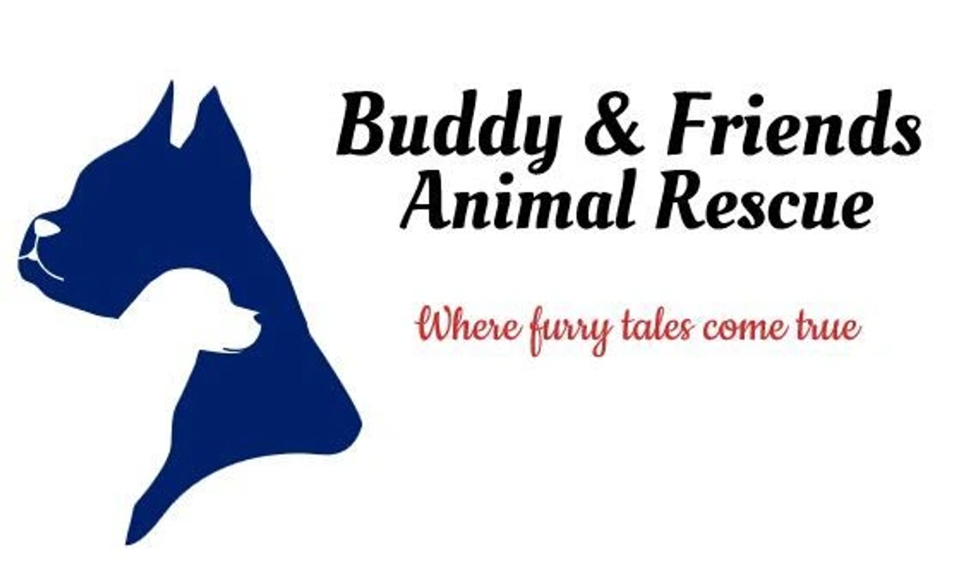 BUDDY & FRIENDS ANIMAL RESCUE logo