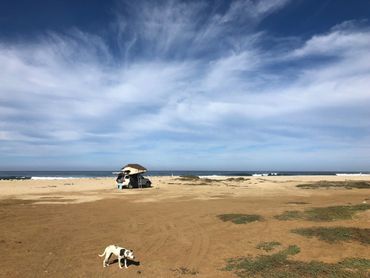 Wild Coast customer camping photo