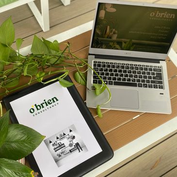 O'Brien Consultancy document and laptop sitting on a wooden table with a green leafy plant.