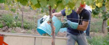 Man pours liquid from a blue container outdoors.