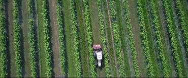 Tractor plowing a green field with crops in neat rows.