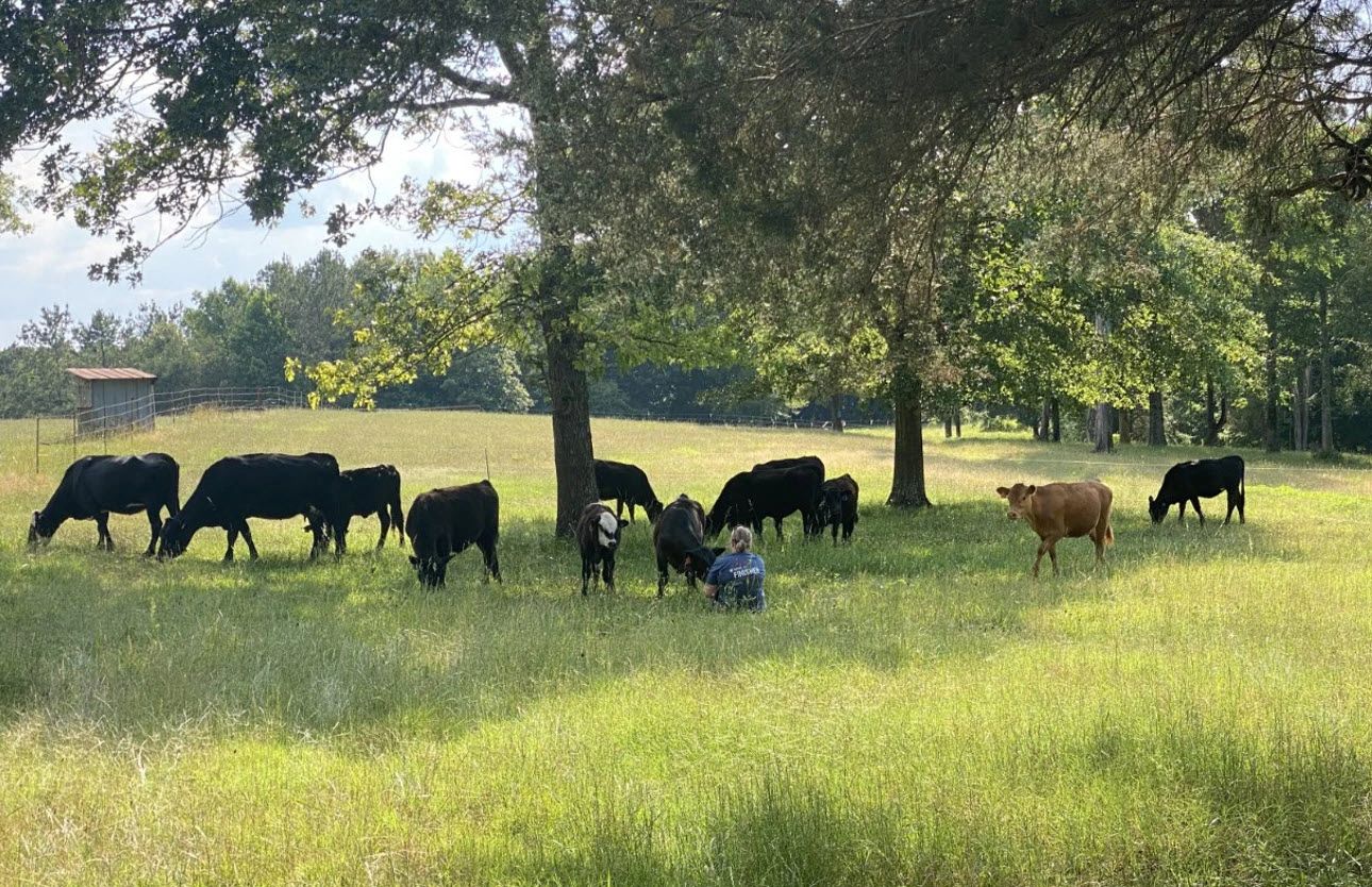 Ridgeline Ranch
