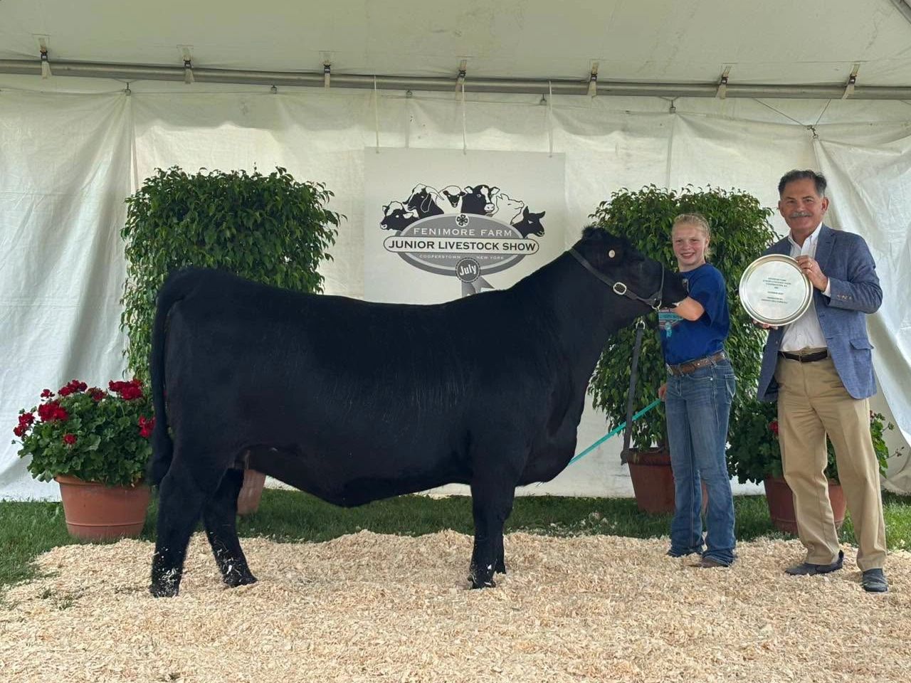 Young girl with black cow and judge holding award at livestock show.