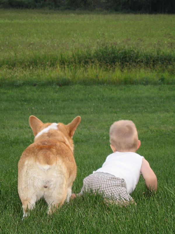 Dog and toddler lying on grass, facing away.