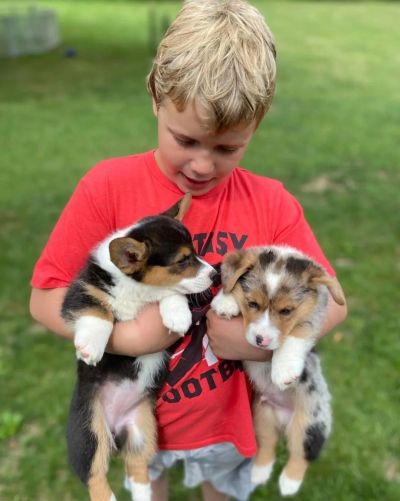 Boy holding two adorable puppies in a grassy yard.