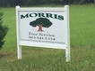 Morris Tree Service 