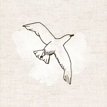 Bird in flight icon for Our Mission - Bramble and Birch
