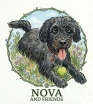 Nova and Friends