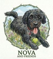 Nova and Friends