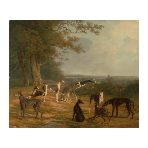 Dog Painting