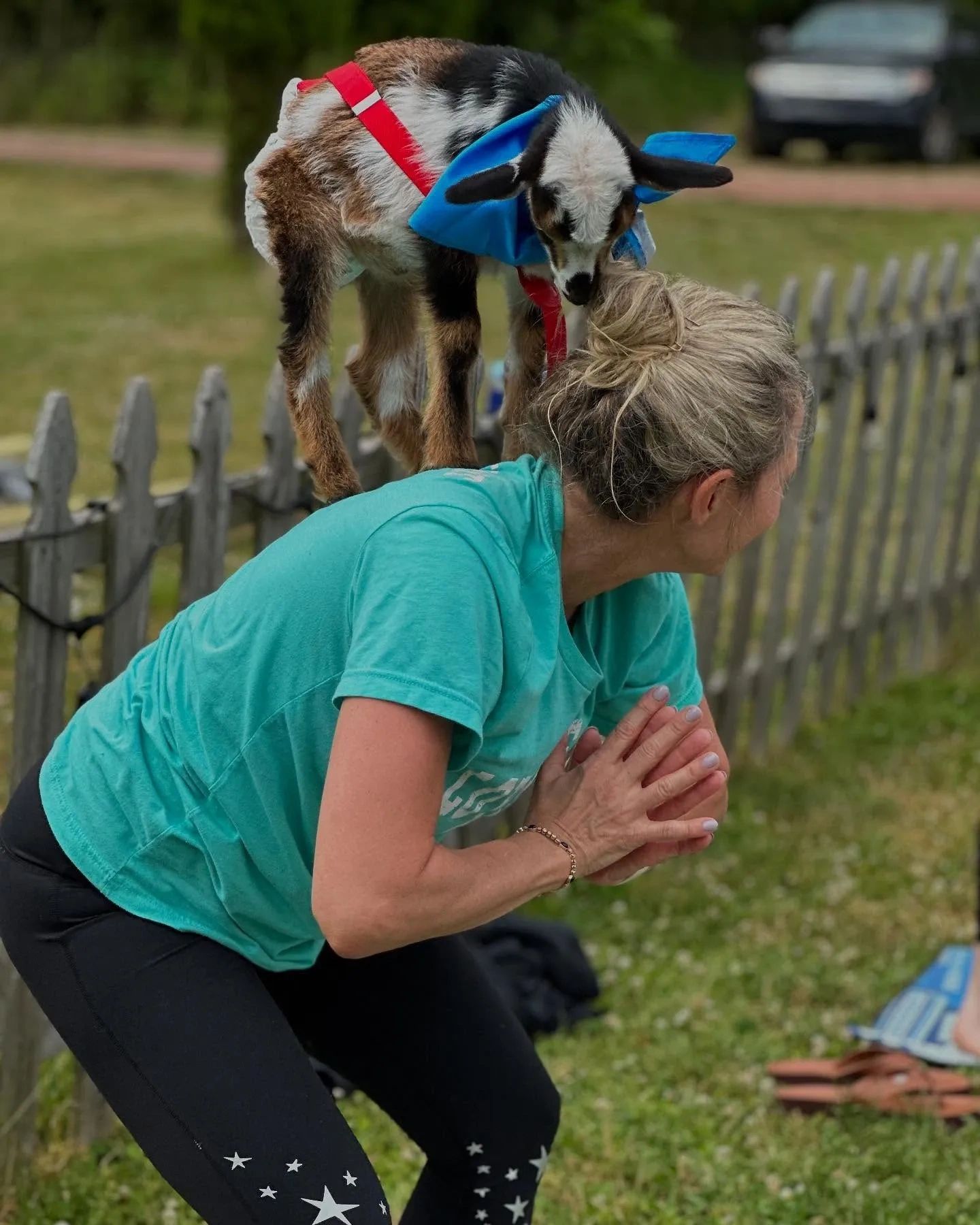 Horse & Goat Yoga