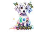 Senia Pet Sitter