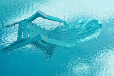 Underwater chair creating a water distortion.