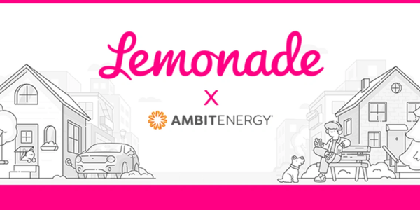 Ambit has partnered with Lemonade Insurance to make getting a quote easy!  Get your free quote today