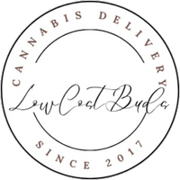 LowCostBuds