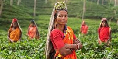 A woman in colorful traditional attire stands confidently in a green field with others in the background.