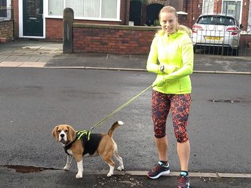 A woman in bright sportswear walking a Beagle dog on a suburban street.