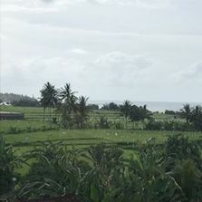 Picture perfect view from the Balcony, its the rice fields that hide the 'Righthander' surf spot.