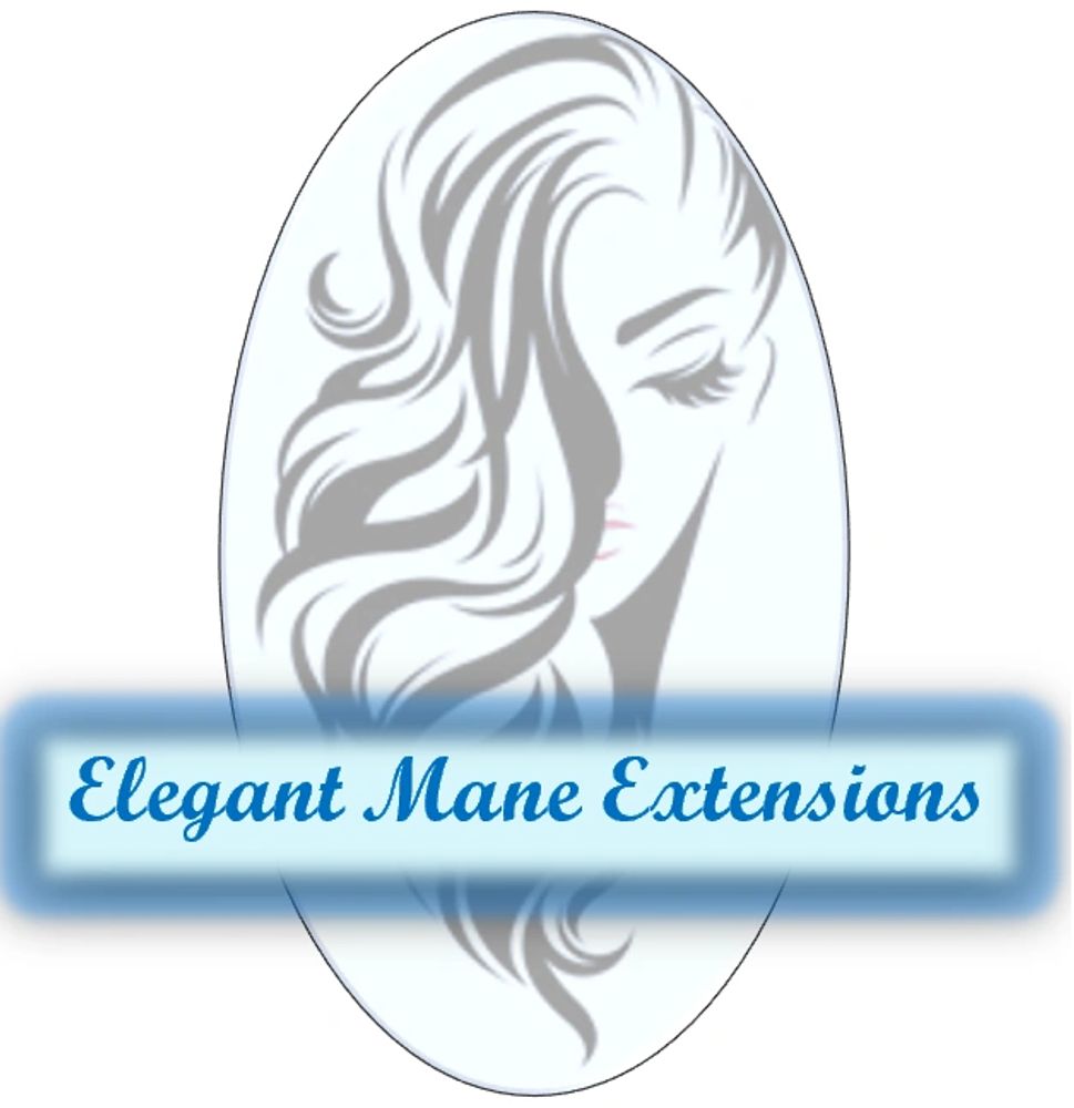 Elegant Mane Extensions Hair Extensions Lace Front Wigs Weave