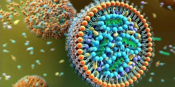 Lipid nanoparticles encapsulating nucleic acid such as DNA, mRNA, gRNA, siRNA, miRNA, oligo, etc. 