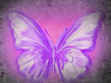 Wall artwork watercolour butterfly print 