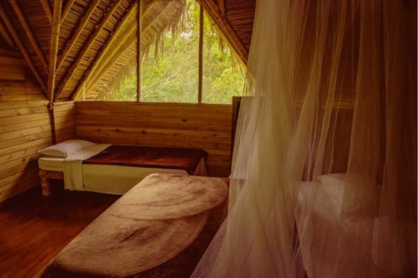 Cozy wooden cabin room with two beds and a window overlooking greenery.