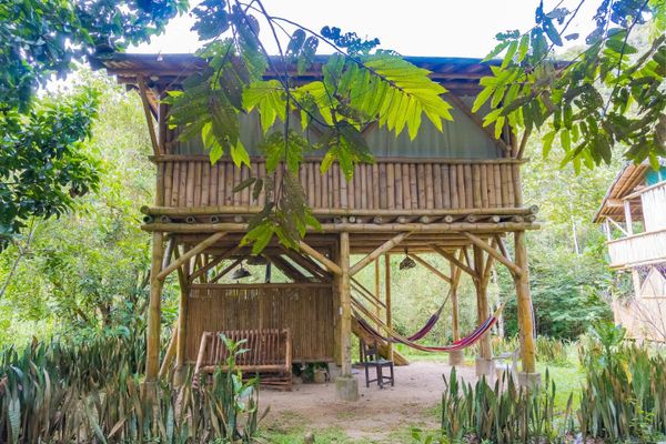 Rustic bamboo treehouse with hammocks in a lush forest setting.