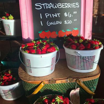 2023 Wartrace Strawberry Festival