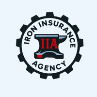 ironinsuranceagency.net