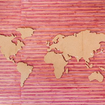 A world map 