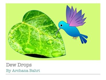 Dew Drops